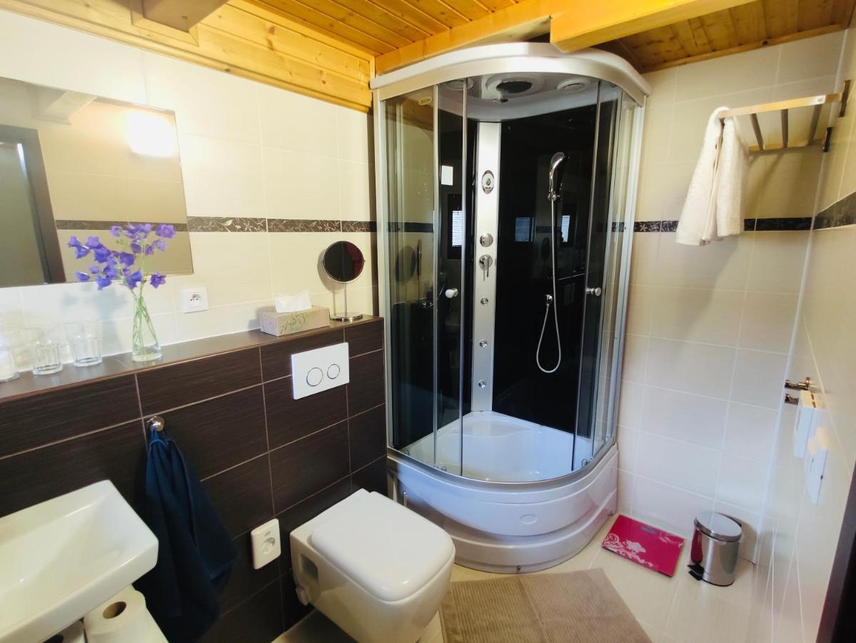 Grand Spa Holiday Home Sklené Teplice Exterior foto